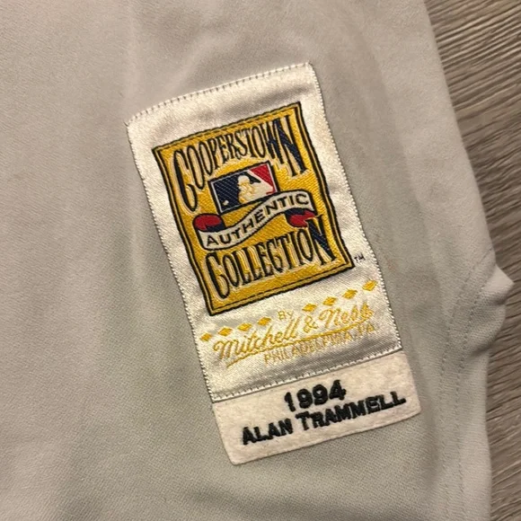 Alan Trammell Mitchell & Ness Gray Cooperstown Collection Jersey 1994 25th Ann